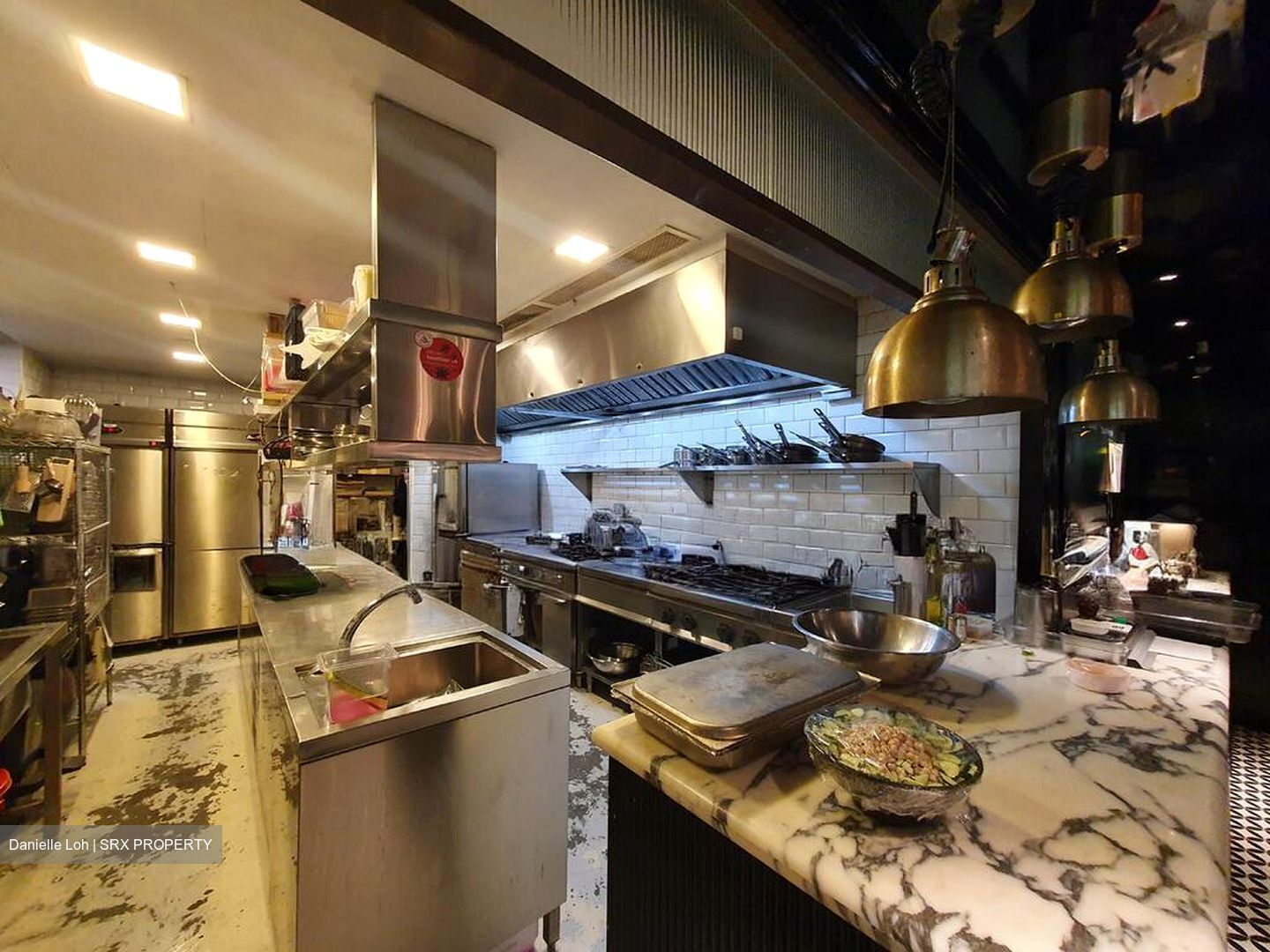 Dempsey Road (D10), Shop House #498561621